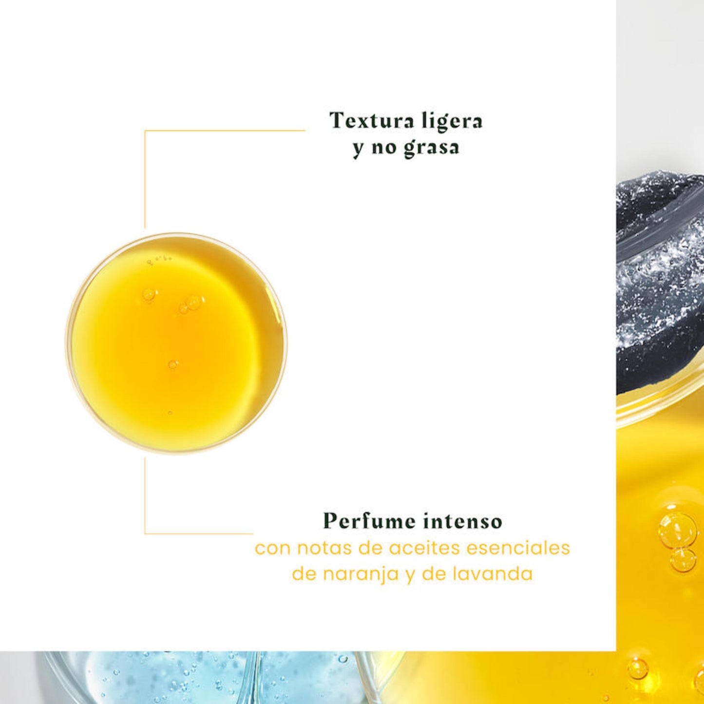 René Furterer Complexe 5 Head Spa – Concentrado cuero cabelludo – con aceites esenciales bio 50 ml